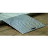 Wheelchair entrance ramp